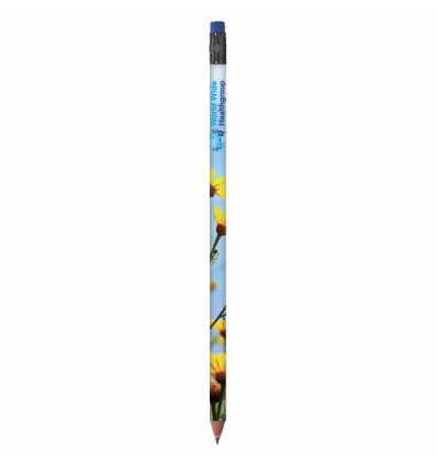 BIC® Evolution® Digital Colour Connection Ecolutions® crayon - 1885